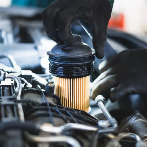 imagem_2024-08-02_143044056